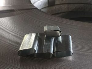 Bọ cuốn Hoàng Long