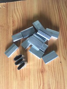 Bọ sắt Hoàng Long